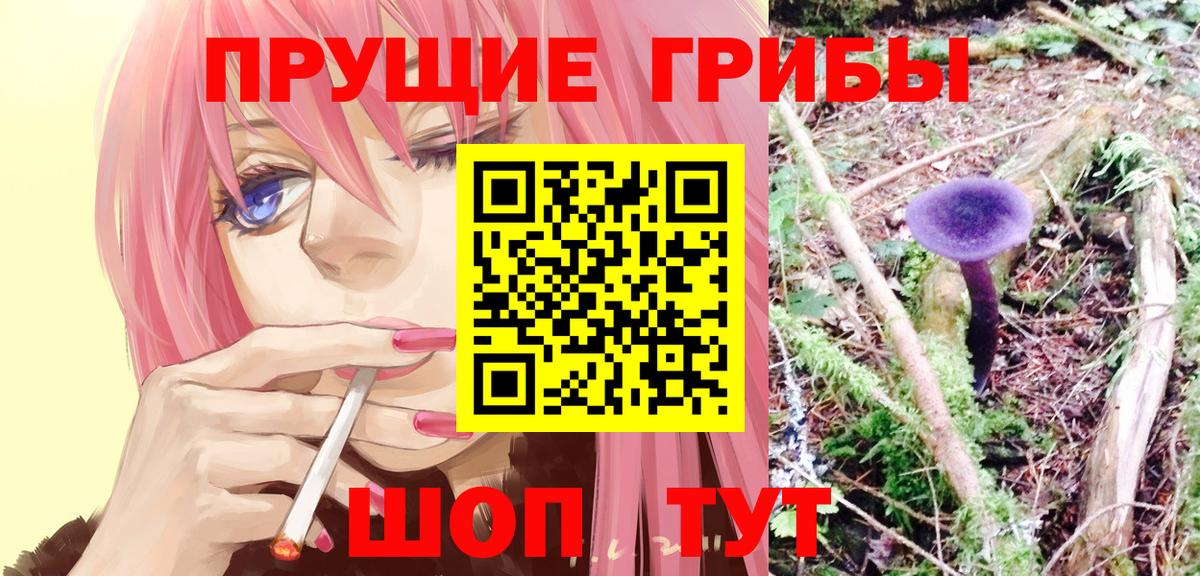 Надым  даркнет сайт  Вход с VPN  Псилоцибиновые грибы Psilocybe  Галлюциногенные грибы Cubensis 