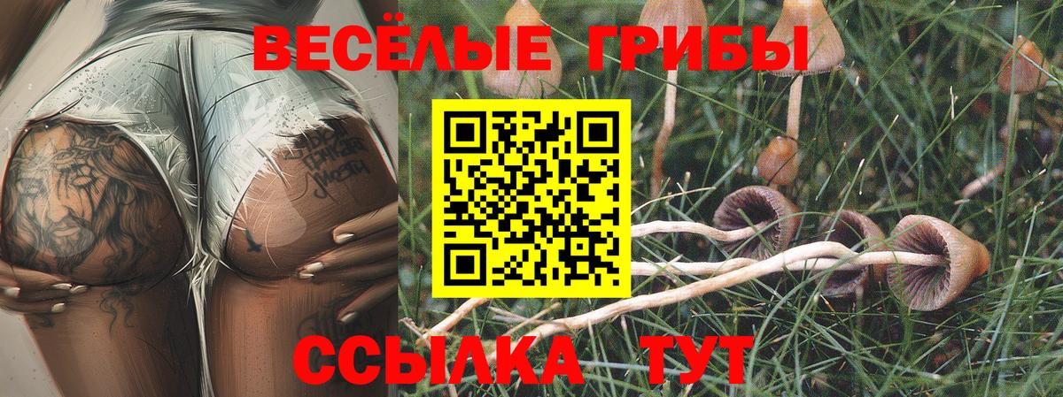Галлюциногенные грибы прущие грибы Надым
